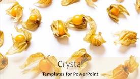  Presentation with golden berry - Presentation with collection-of-golden-berry-fruits background and a blonde colored foreground