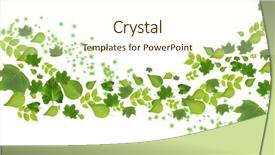  Presentation with chemistry leaves green leaf - Amazing PPT theme having collection of green leaves isolated backdrop and a  colored foreground
