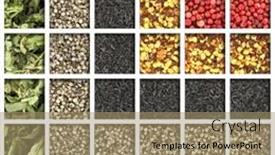  Presentation with herbs - Cool new slides with collection-of-herbs-and-spices backdrop and a coral colored foreground