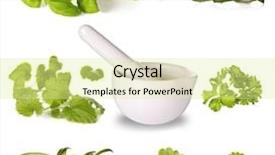  Presentation with organic herbs and letteuce - Audience pleasing slide deck consisting of collection of herbs with grinder backdrop and a blonde colored foreground