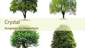  Presentation with oak - PPT layouts consisting of collection of isolated trees background and a cream colored foreground