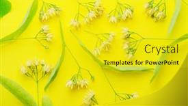  Presentation with flowers - Presentation design with collection-of-linden-flowers-linden and a yellow colored foreground