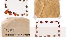  Presentation with paper - Colorful slides enhanced with collection-of-paper-notes backdrop and a soft green colored foreground