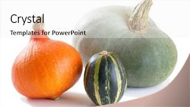  Presentation with harvest festival - Colorful PPT layouts enhanced with collection of pumpkins backdrop and a white colored foreground