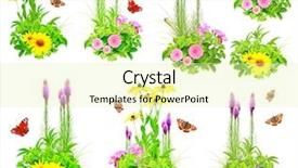  Presentation with caterpillar - Slide deck consisting of collection of summer flowers butterfly caterpillar and green leaves isolated on white background background and a soft green colored foreground