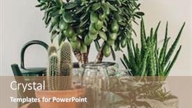  Presentation with succulent - Slide deck enhanced with collection-of-various-cactus background and a coral colored foreground