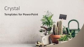  Presentation with home gardening - Slide deck with collection-of-various-cactus background and a sky blue colored foreground