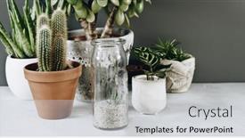  Presentation with home gardening - Theme with collection-of-various-cactus background and a light gray colored foreground