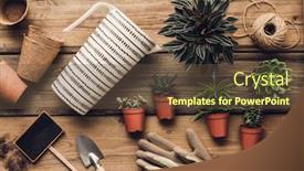  Presentation with garden tools - PPT layouts consisting of collection-of-various-succulent-plants background and a tawny brown colored foreground