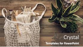  Presentation with eco bag - Audience pleasing presentation theme consisting of collection-of-various-succulent-plants backdrop and a violet colored foreground