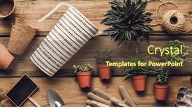  Presentation with garden tools - Cool new presentation theme with collection-of-various-succulent-plants backdrop and a tawny brown colored foreground