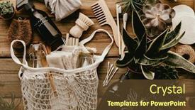  Presentation with eco bag - PPT theme enhanced with collection-of-various-succulent-plants background and a tawny brown colored foreground
