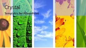  Presentation with banner blue - Presentation consisting of collection of vertical banner background and a  colored foreground