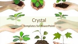  Presentation with hands planting a cabbage seedling - Colorful presentation theme enhanced with collection plant in female hands backdrop and a  colored foreground