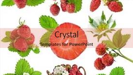  Presentation with noni fruit and noni fruit powder - Amazing theme having collection set of strawberry fruit backdrop and a coral colored foreground