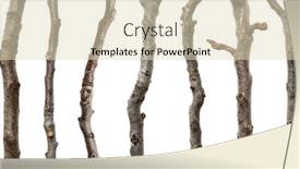  Presentation with walnut - PPT theme enhanced with collection-walnut-branches-isolated background and a soft green colored foreground