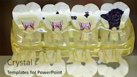  Presentation with cologne - Slides with cologne-march-24-new-tooth background and a  colored foreground