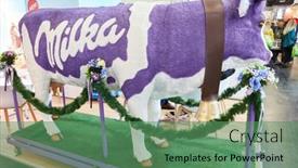  Presentation with cologne - 