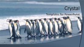  Presentation with south beach - Audience pleasing presentation consisting of colonial days - uk south georgia island colony backdrop and a light blue colored foreground