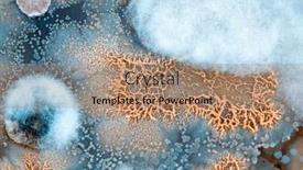  Presentation with bacteria colonies - Presentation theme with colonies-of-bacteria-and-microorganisms and a coral colored foreground