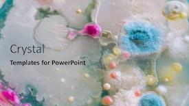  Presentation with petri dish colonies - Presentation theme with colonies-of-bacteria background and a light gray colored foreground