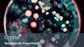  Presentation with bacteria colonies - Presentation enhanced with colonies-of-microorganisms background and a ocean colored foreground