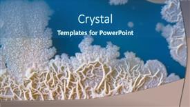  Presentation with petri dish - Cool new slide deck with colony-of-bacteria-on-agar backdrop and a ocean colored foreground