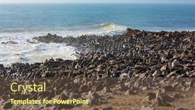  Presentation with africa tourism - PPT theme enhanced with colony-of-fur-seals background and a tawny brown colored foreground