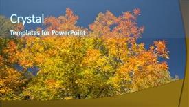  Presentation with color - Cool new presentation theme with color-burst-of-autumn-foliage backdrop and a ocean colored foreground