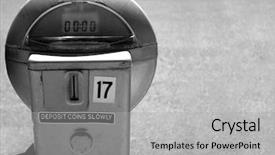  Presentation with copy space leadership - Presentation theme having maroon flowers adorn a houseplant background and a tawny brown colored foreground