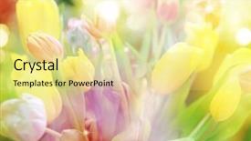  Presentation with green glitter - Presentation theme featuring color filters and glitter background and a blonde colored foreground