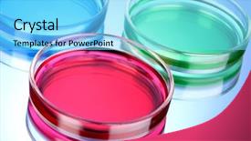  Presentation with petri dish - PPT theme consisting of color liquid in petri dishes background and a light blue colored foreground