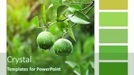  Presentation with unripe - Presentation theme featuring color-matching-palette-with-complimentary background and a forest green colored foreground