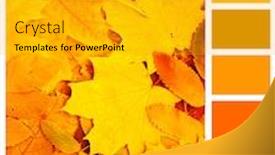  Presentation with green maple leaves - Amazing slide deck having color-matching-palette-with-complimentary backdrop and a light gray colored foreground