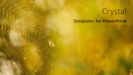  Presentation with forest morning - Presentation with color-morning-wet-cobweb background and a gold colored foreground