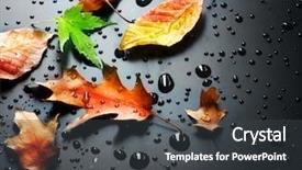  Presentation with autumn - Amazing slides having color nature - autumn over black backdrop and a dark gray colored foreground