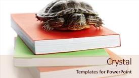  Presentation with tan book stack stacks of books - Slide deck enhanced with color notebook - turtle on pile of colourful background and a lemonade colored foreground