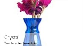  Presentation with flowers vase - Colorful PPT theme enhanced with color-photo-of-flowers backdrop and a white colored foreground