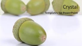  Presentation with green color - Cool new PPT theme with live oak tree - color photo of green acorns backdrop and a yellow colored foreground