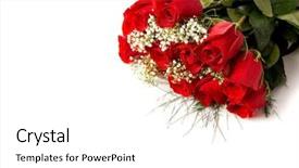 Presentation with roses - Presentation featuring colored backgrouds - boquet or red roses background and a white colored foreground