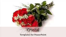  Presentation with roses - Slides consisting of colored backgrouds - bouquet or red roses background and a lemonade colored foreground
