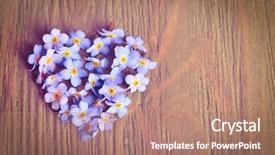  Presentation with heart flowers - Beautiful slides featuring colored backgrouds - forget-me-nots flowers in shape backdrop and a coral colored foreground