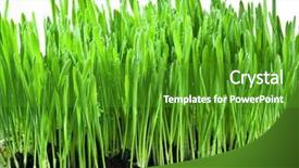  Presentation with white green - Audience pleasing presentation design consisting of colored backgrouds - green grass isolated backdrop and a  colored foreground