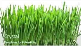  Presentation with white green - Beautiful slide set featuring colored backgrouds - green grass isolated backdrop and a  colored foreground
