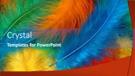  Presentation with orange colored - Presentation theme having colored-feathers-carnival-green-blue background and a ocean colored foreground