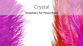  Presentation with carnival - 