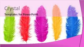  Presentation with carnival - Cool new PPT theme with colored feathers carnival backdrop and a lilac colored foreground