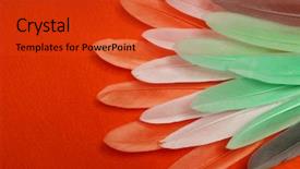  Presentation with for blue colored resource - Presentation theme having colored feathers on a blue background and a red colored foreground