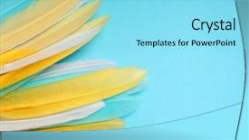  Presentation with for blue colored resource - PPT theme enhanced with colored feathers on blue background background and a arctic colored foreground