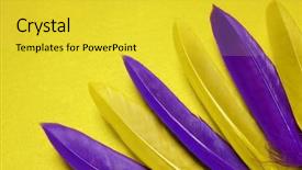  Presentation with carnival - Audience pleasing presentation theme consisting of colored feathers on yellow background backdrop and a yellow colored foreground